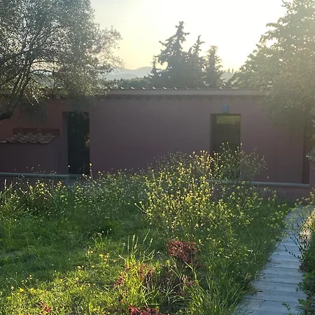 The Barn Among Olive Trees بيت للعطل فلورنس