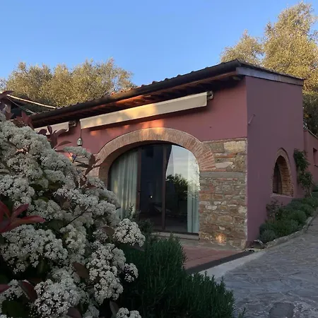 The Barn Among Olive Trees فلورنس