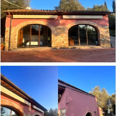 The Barn Among Olive Trees