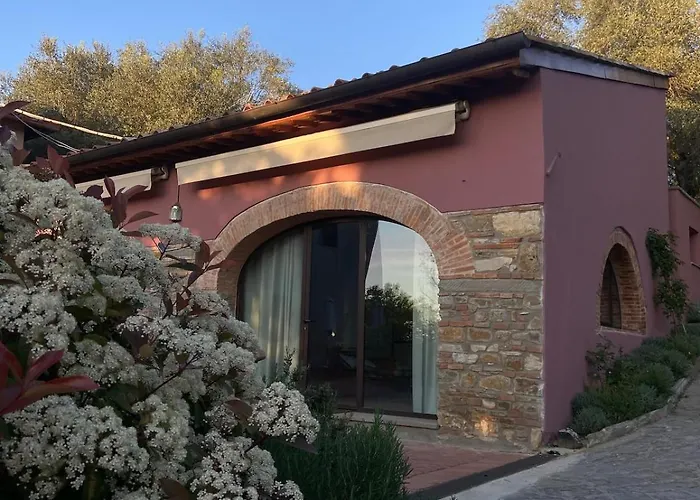 The Barn Among Olive Trees Florens