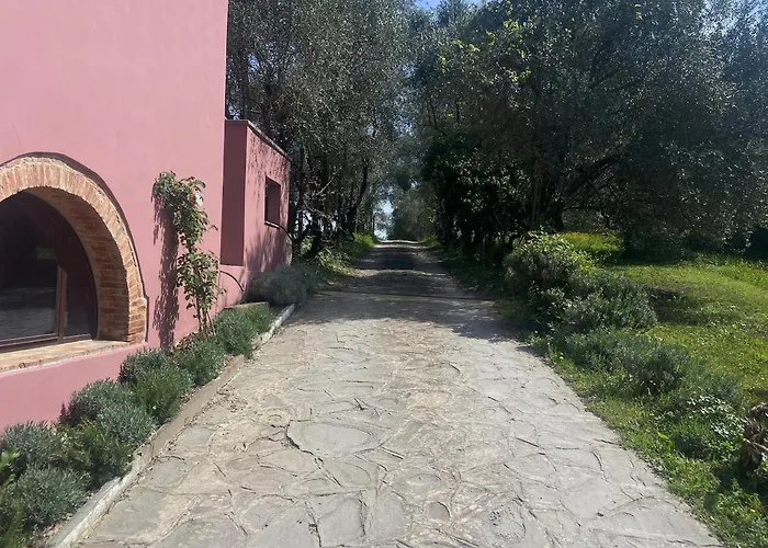 The Barn Among Olive Trees Semesterbostad